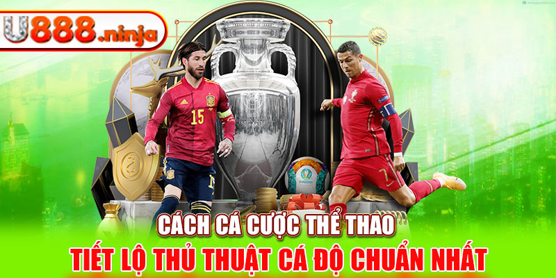 Cách cá cược thể thao - Tiết lộ thủ thuật cá độ chuẩn nhất